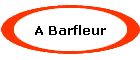 A Barfleur