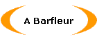 A Barfleur